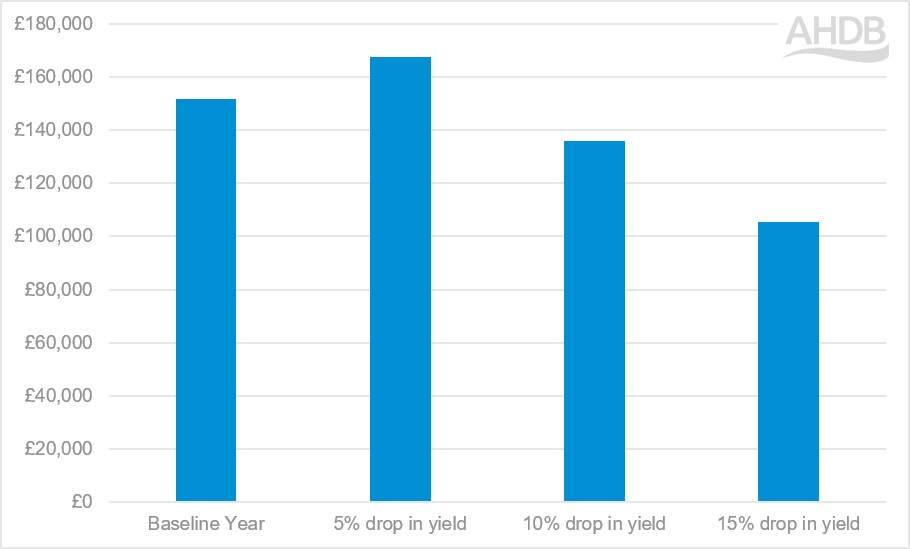 Graph showing impacts of reduced yields and increased prices on virtual arable farm.